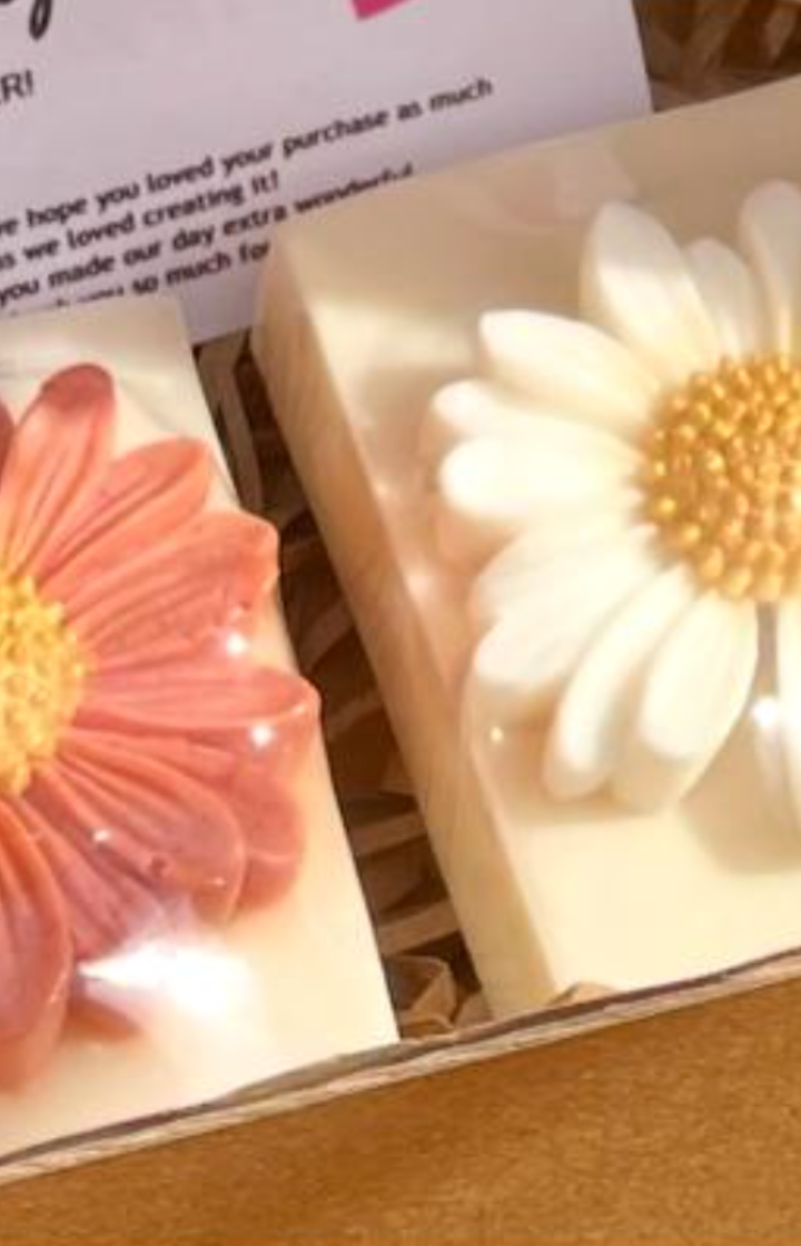 Self-Care Duo — handmade organic soap