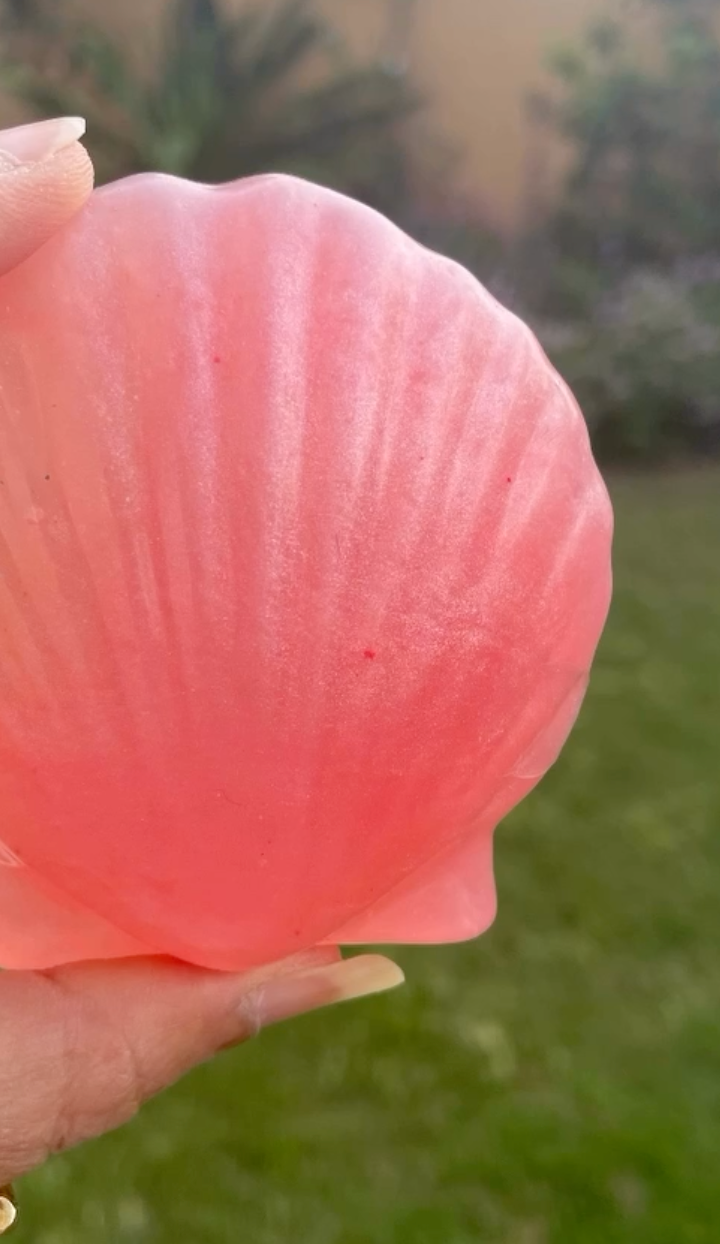 Sea Shell Glycerin Soap — handmade organic soap