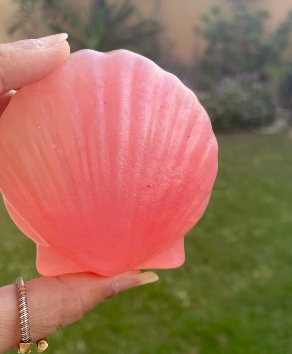 Sea Shell Glycerin Soap — handmade organic soap by Bloom by Aneela